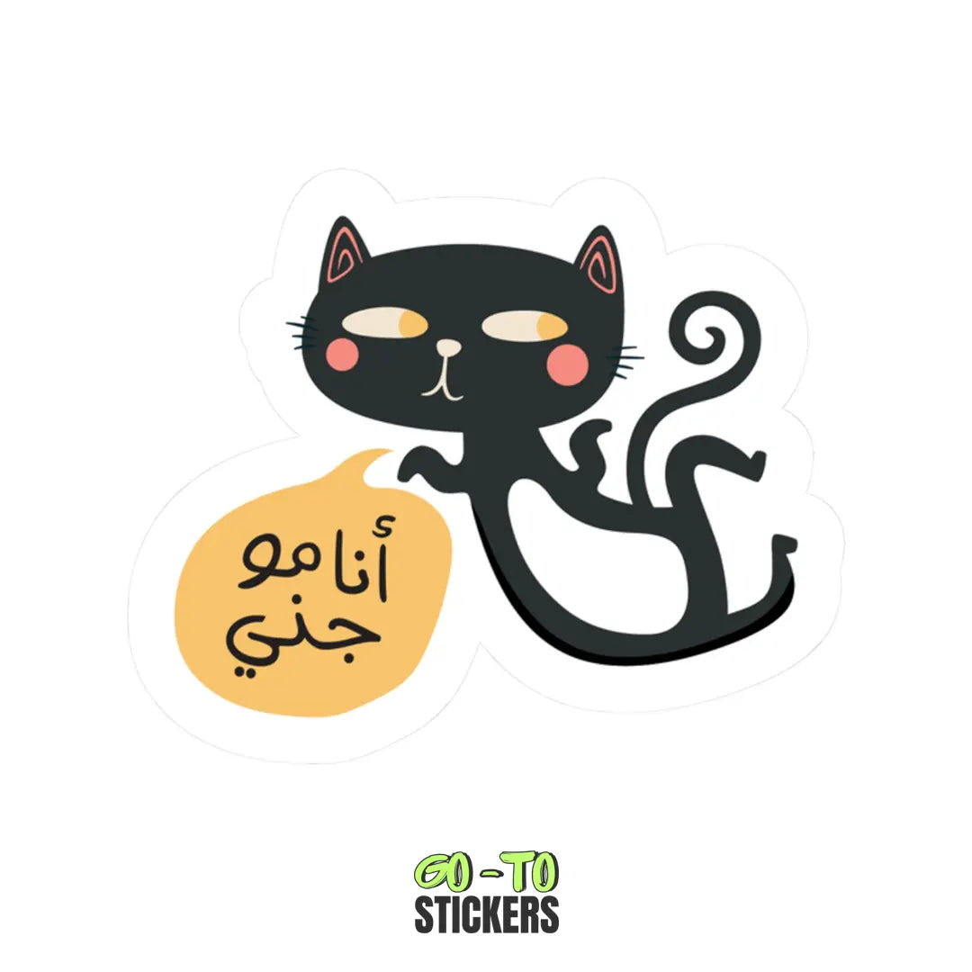 I’M NOT A GHOST, I’M A CAT